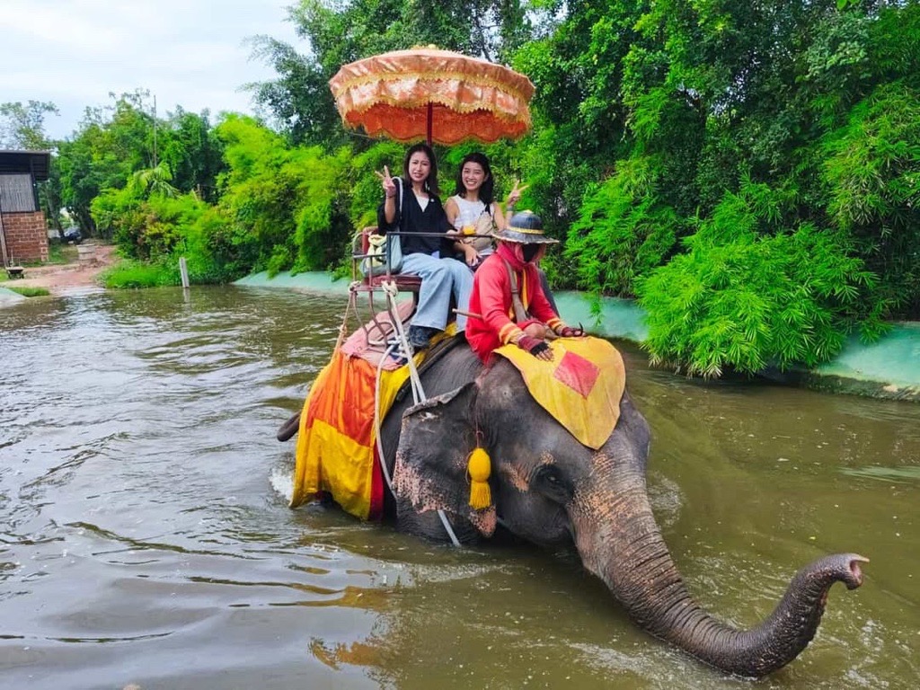 エレファントキャンプにて本格的象乗り体験（約15分）